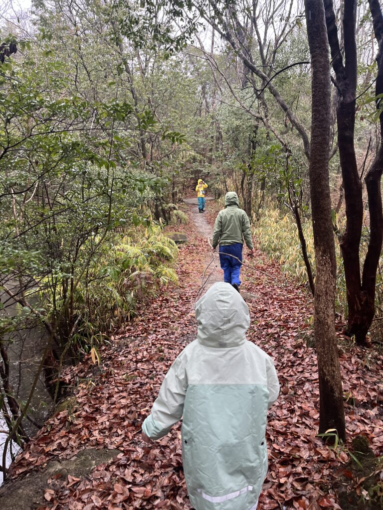 黒髪山キャンプフィールド
奈良市の森
雨の日の森散策
