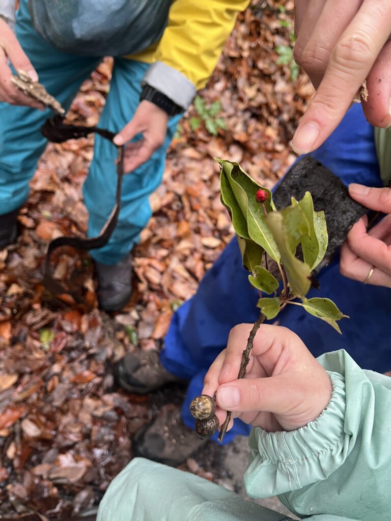 黒髪山キャンプフィールド
雨の日の森散策
奈良の森