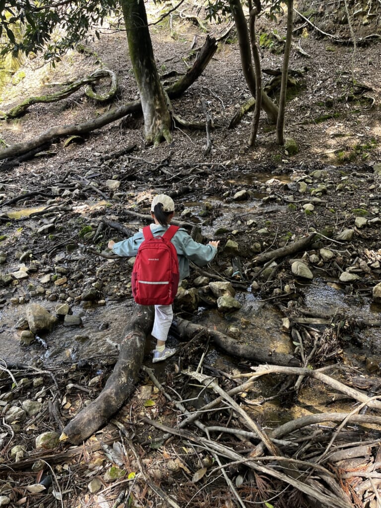 ふくふくファーム 水源地ツアー