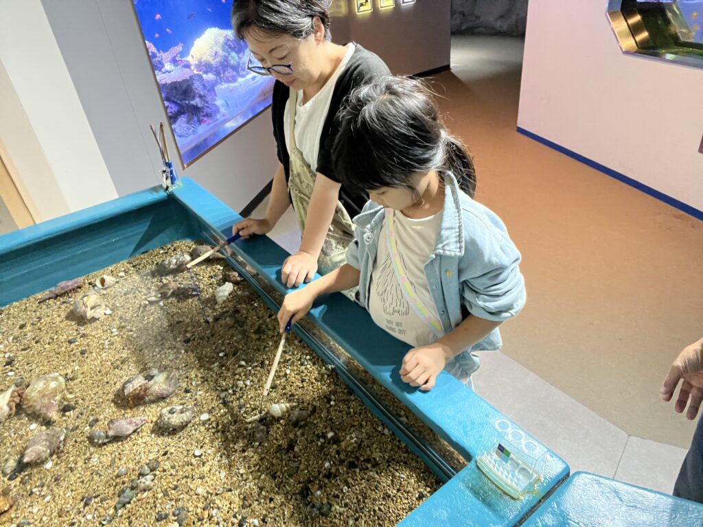 伊豆・三津シーパラダイスヤドカリ釣り