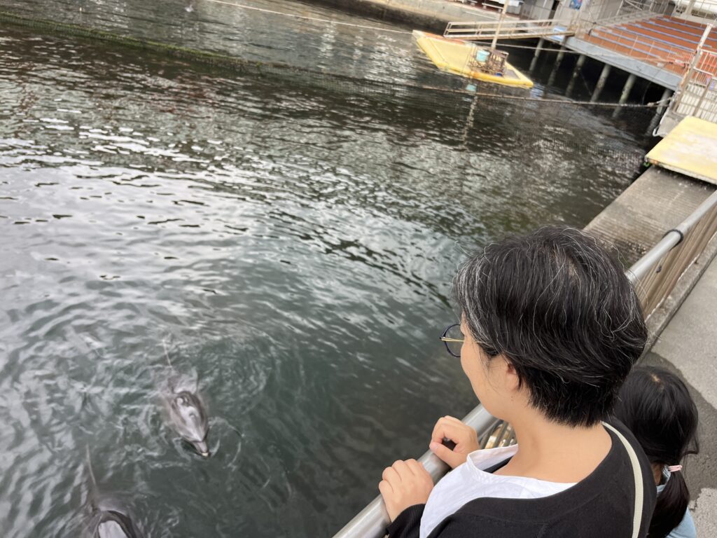 伊豆・三津シーパラダイス イルカ