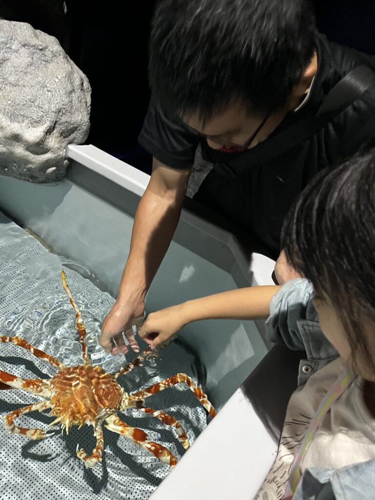 伊豆・三津シーパラダイス カニに触る