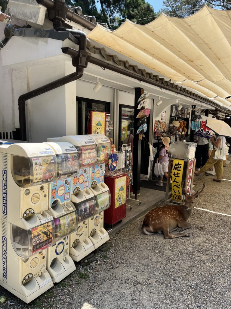 奈良 お土産屋さん