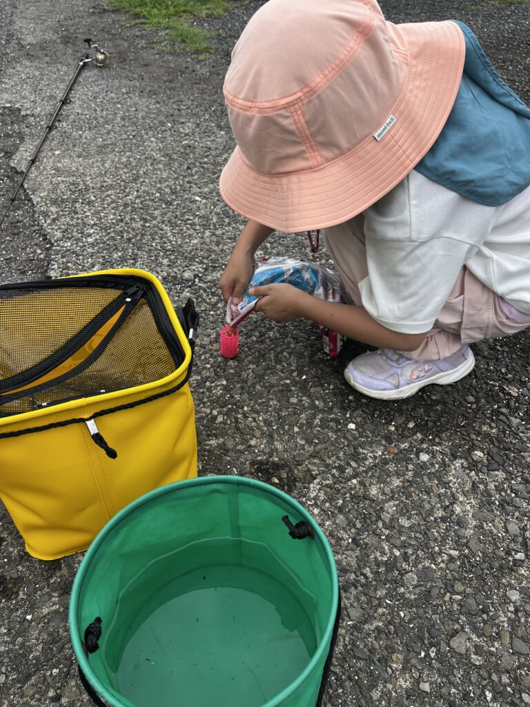 魚のエサを自分で入れるあかり