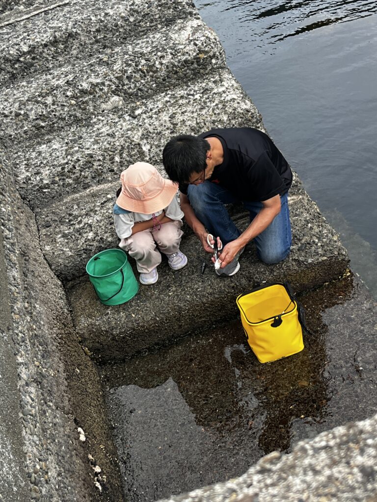 魚の下処理中の親子