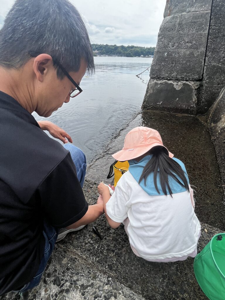 パパのお魚の下処理を教わるあかり。