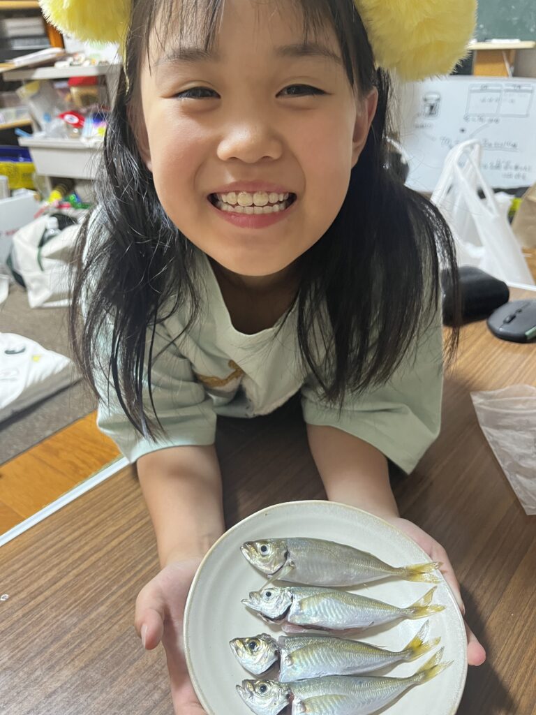 あかり釣ったアジ4匹