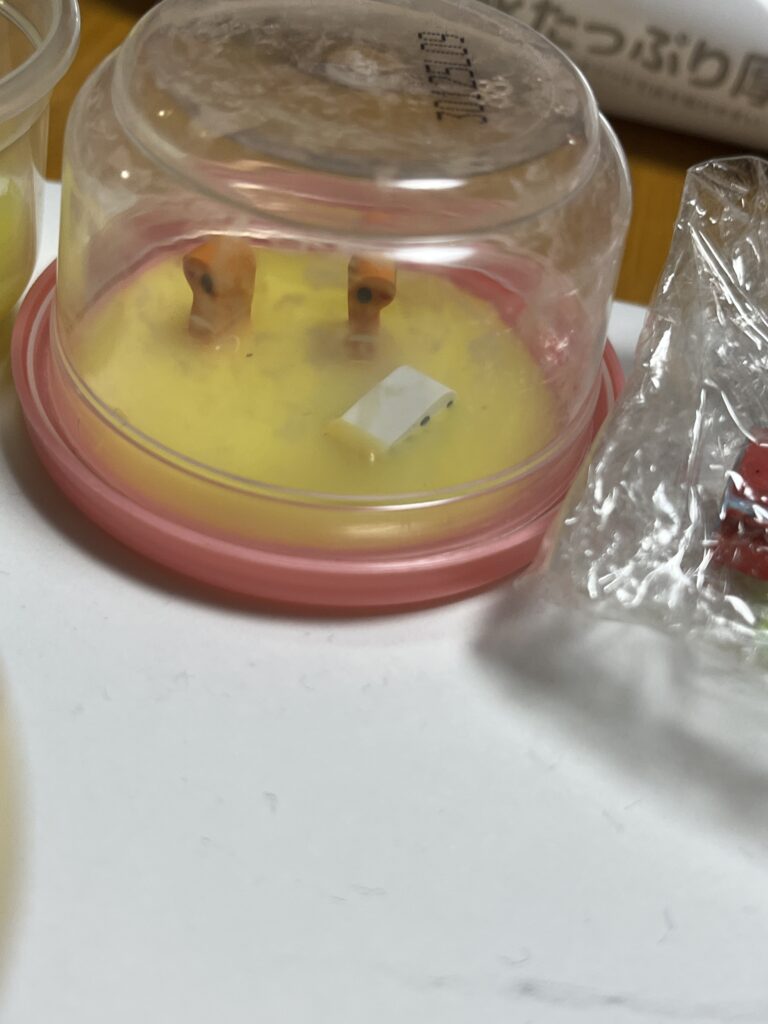 チンアナゴ 工作