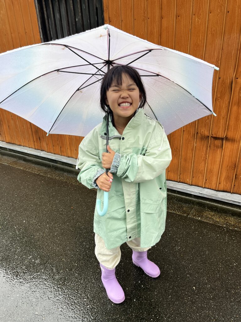 奈良 雨の日 お出かけ