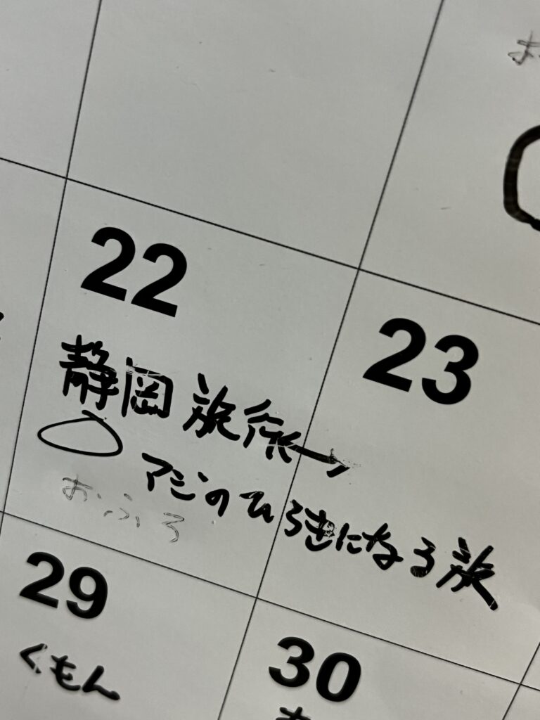 旅行日記入 カレンダー