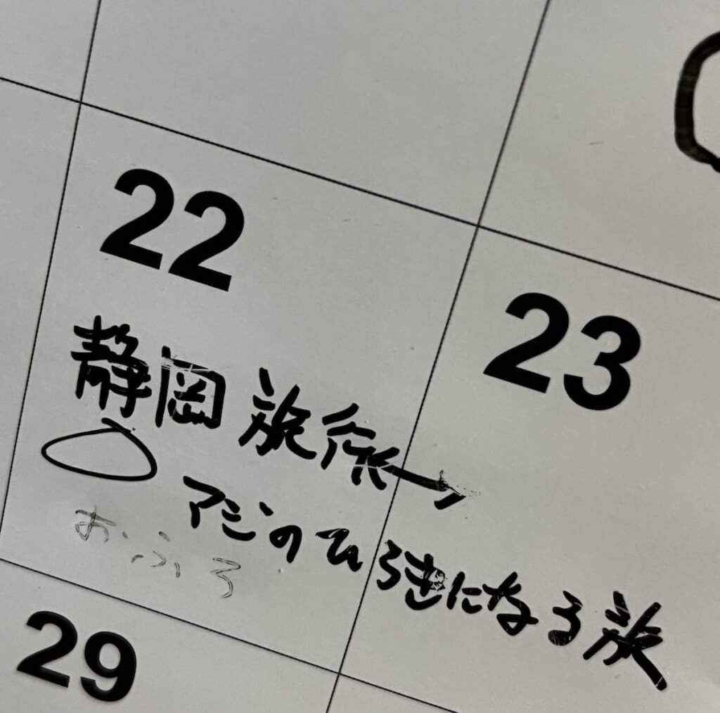 旅行日記入 カレンダー