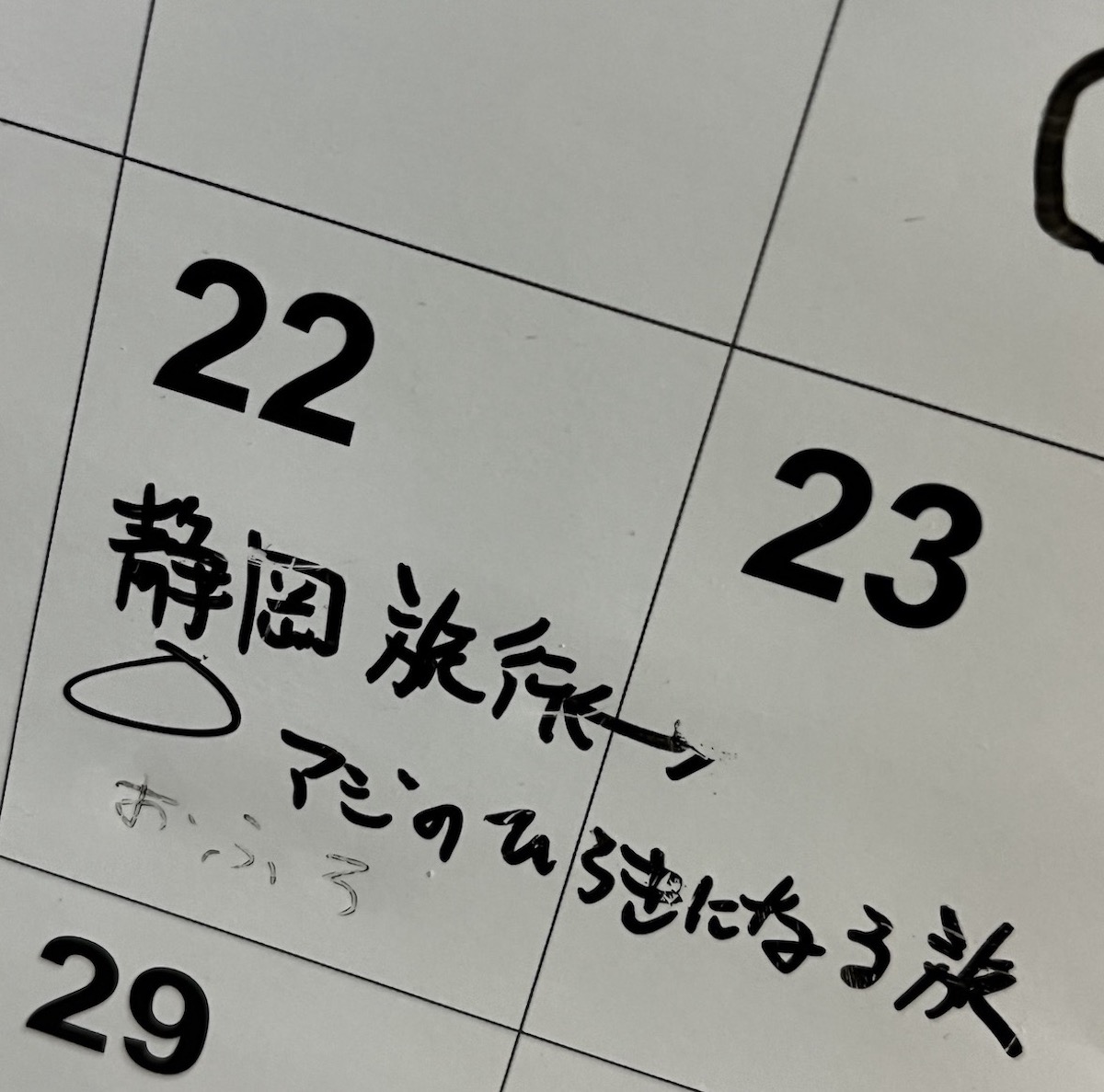 旅行日記入 カレンダー