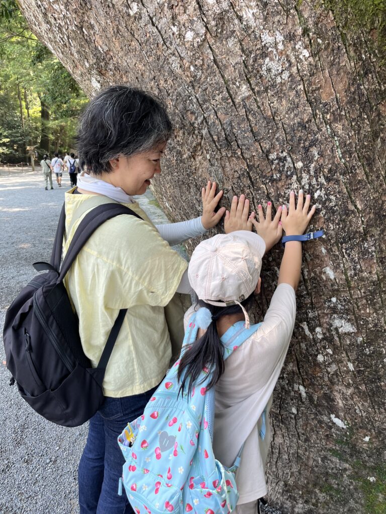 伊勢神宮内宮 巨木