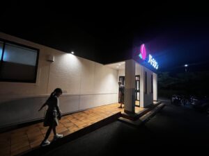 バーミヤン 奈良