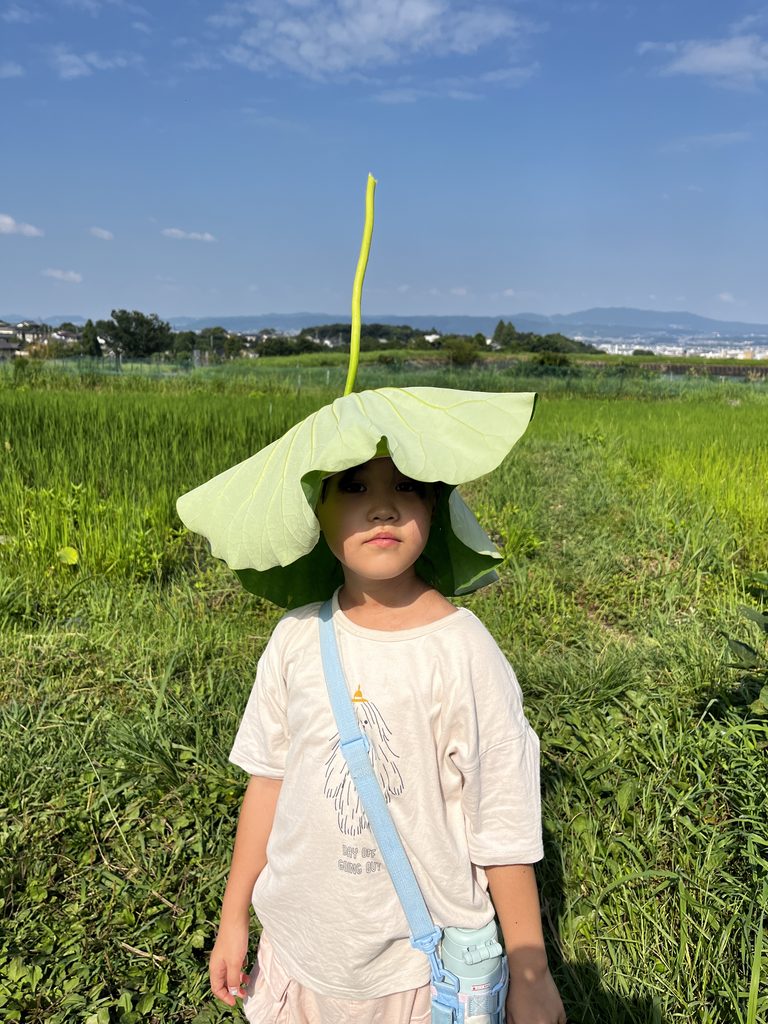 蓮の葉の妖精
