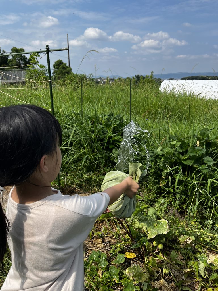 蓮の葉で運んだお水を畑に